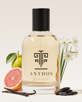 COCO NIGHT – perfume by Anthos Perfume