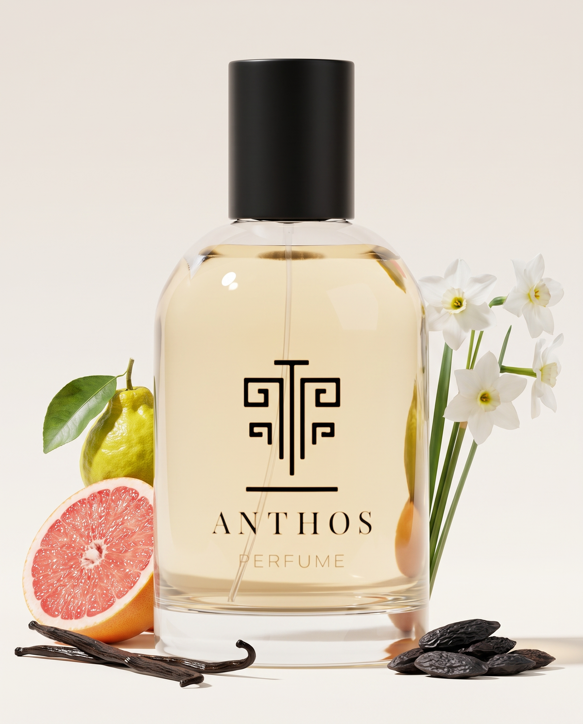 COCO NIGHT – perfume by Anthos Perfume