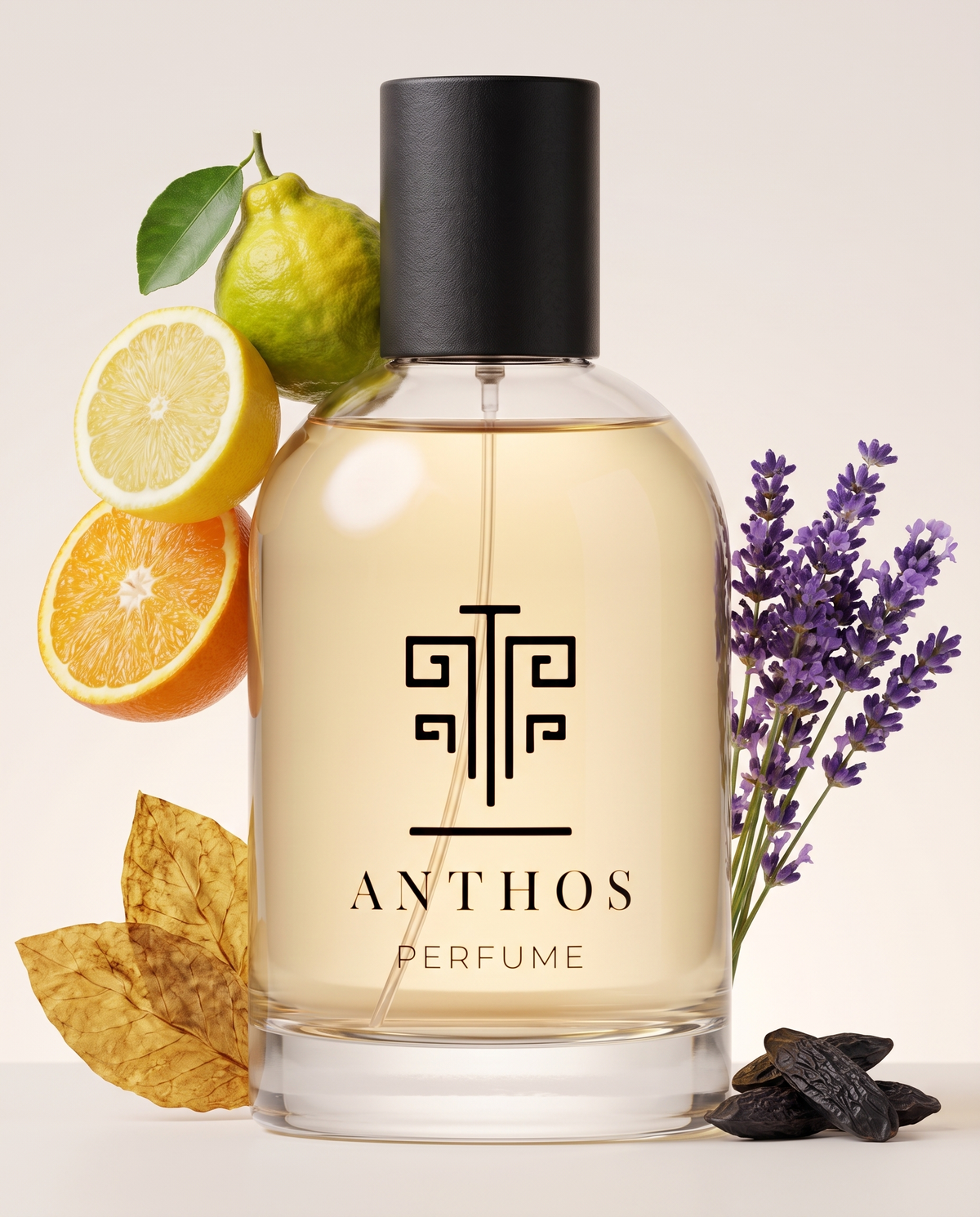 DIGI HOMME – perfume by Anthos Perfume